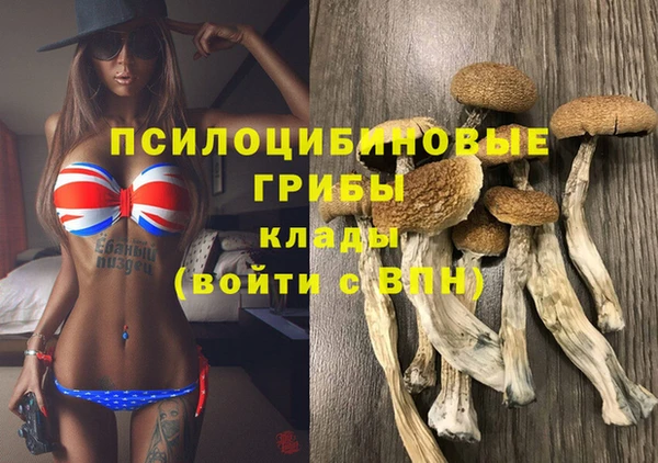 амфетамин Алексин