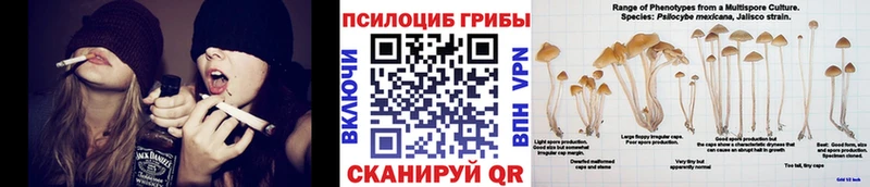 Псилоцибиновые грибы Psilocybine cubensis  ОМГ ОМГ зеркало  Никольск 