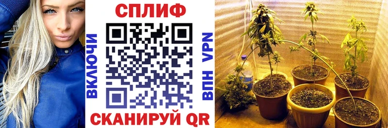 Бошки марихуана White Widow Никольск